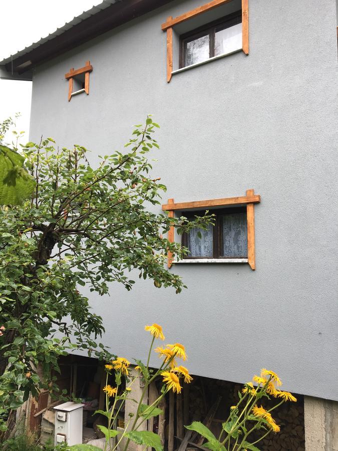 Yeti (snowman) Guest House Mavrovo Extérieur photo