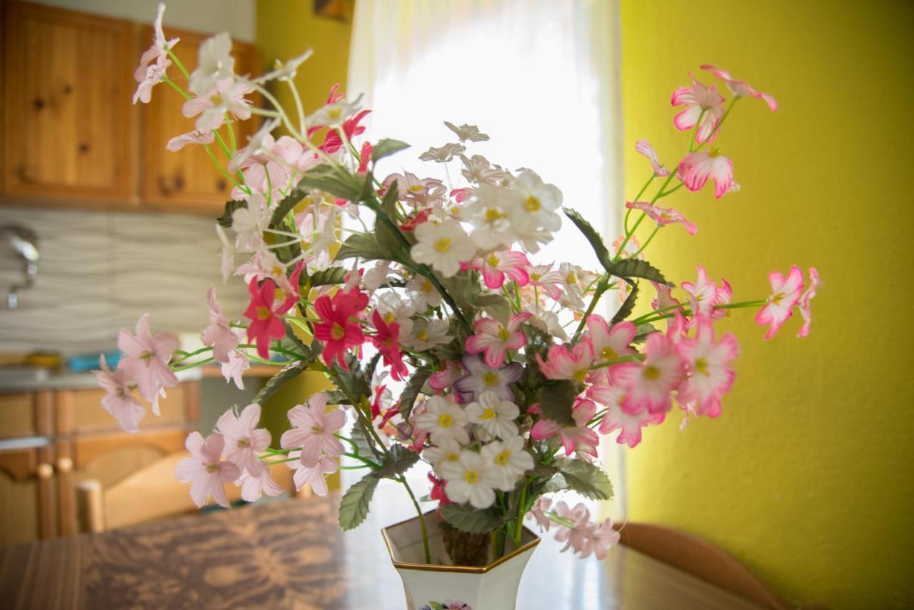 Yeti (snowman) Guest House Mavrovo Extérieur photo